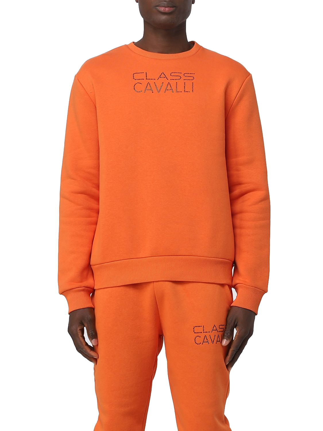 Cavalli Class Sweatshirt PXT66N CF010 01665 wholesale