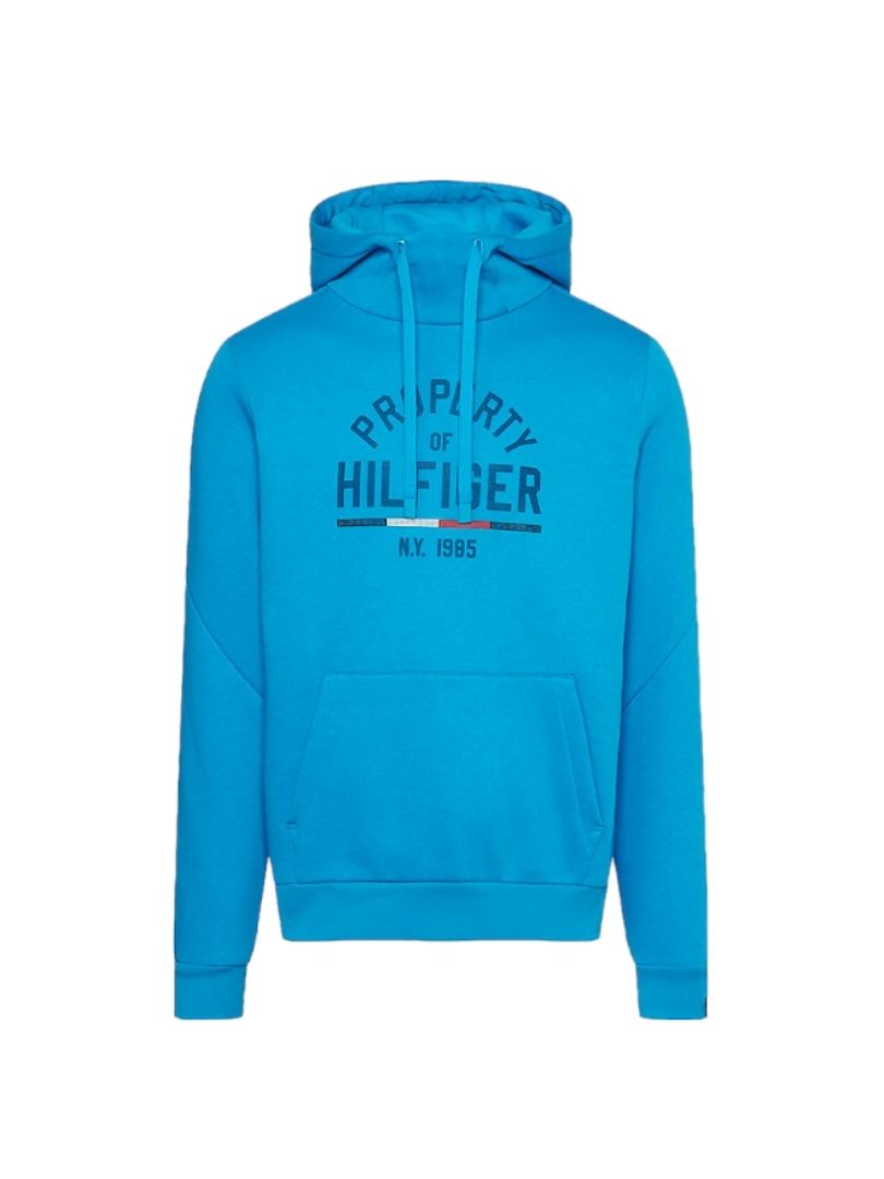 Tommy Hilfiger Sweatshirt MW0MW32627 CZU wholesale