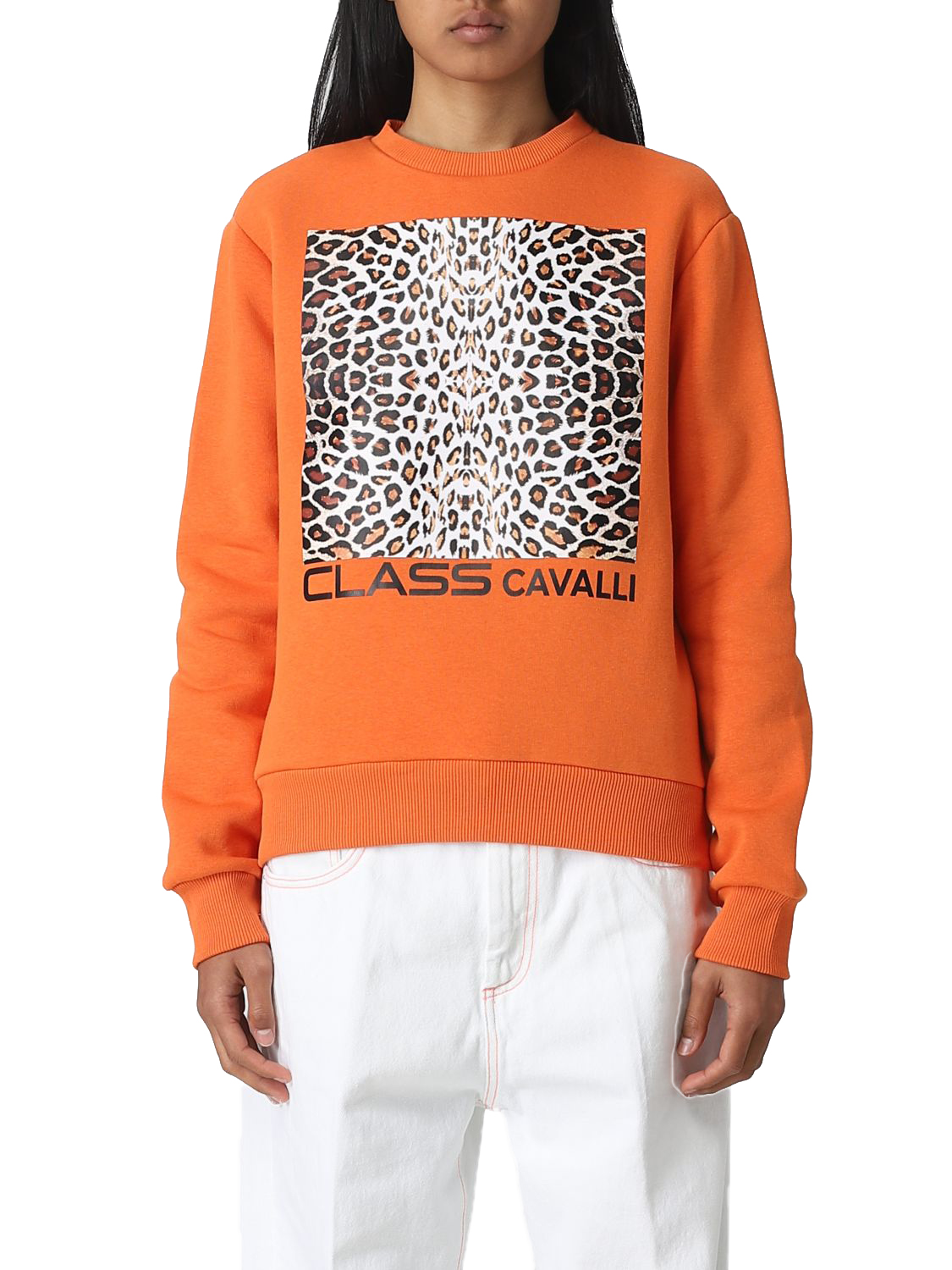Cavalli Class Sweatshirt PXT65H CF010 01665 wholesale