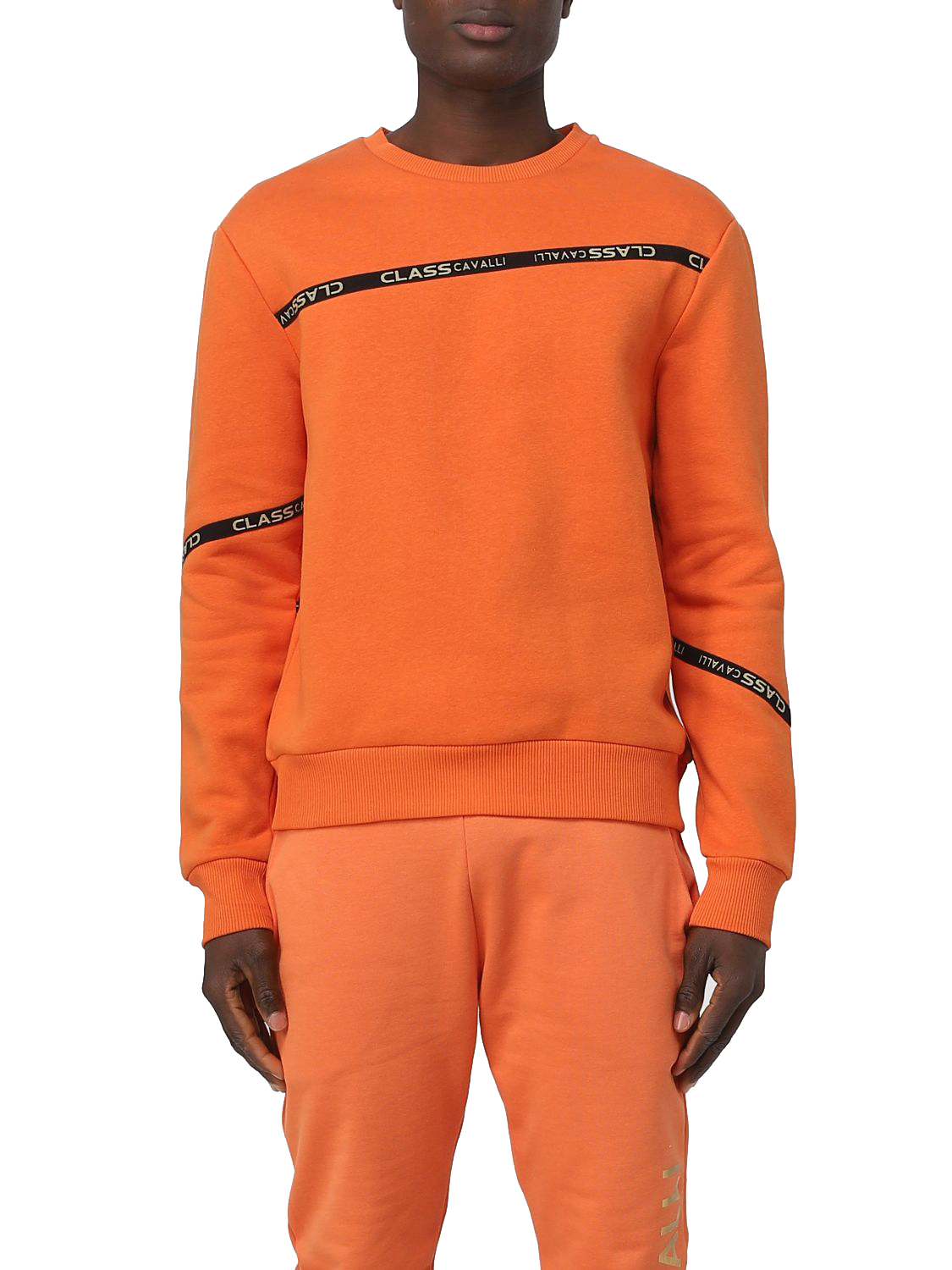 Cavalli Class Sweatshirt PXT66A CF010 01665 wholesale