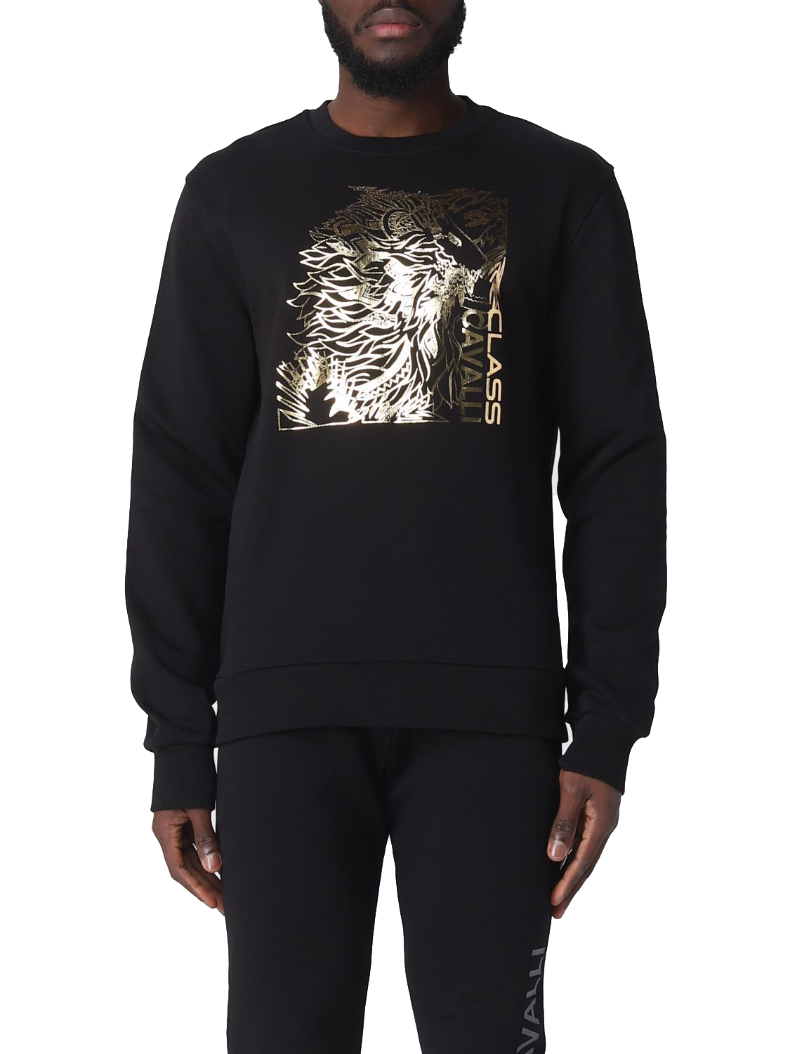 Cavalli Class Sweatshirt PXT66R CF050 05051 wholesale